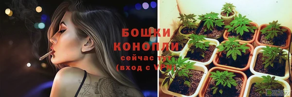 СК Беломорск