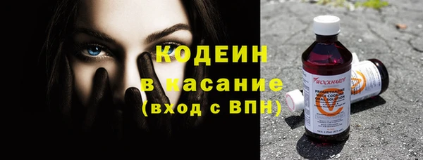 индика Балабаново