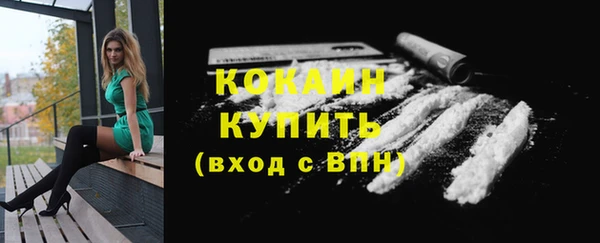крисы Балахна