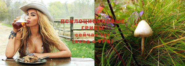 дживик Белокуриха