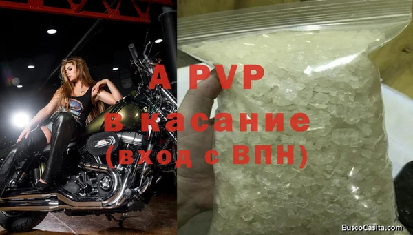 дживик Белокуриха