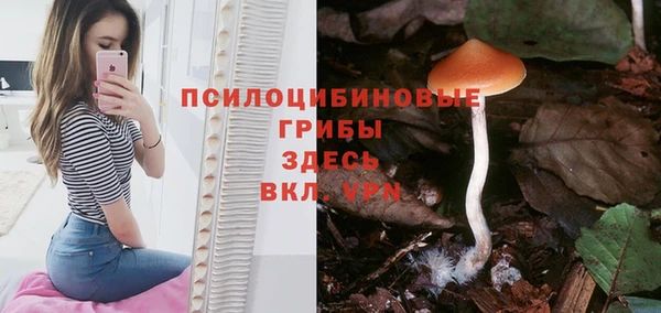 apvp Белоозёрский