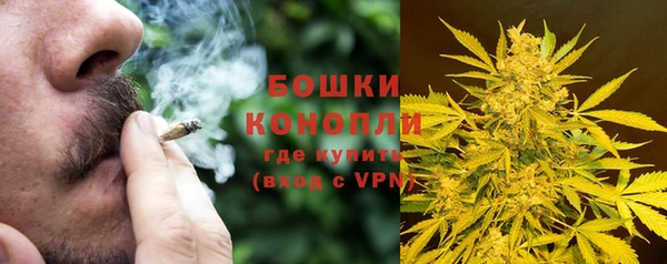 дживик Белокуриха