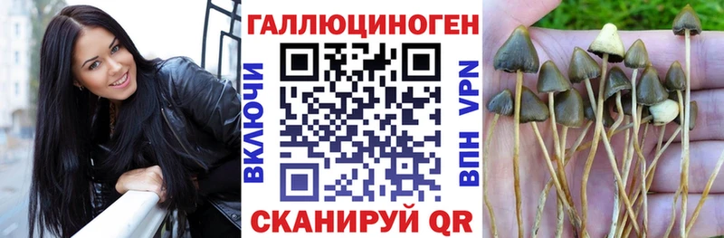 Галлюциногенные грибы мицелий  хочу наркоту  Маркс 