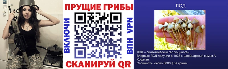 Галлюциногенные грибы Psilocybe Маркс