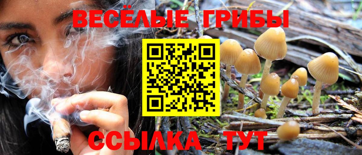 Маркс  Галлюциногенные грибы прущие грибы  Вход с VPN 